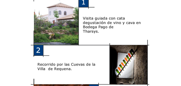 Creación de newsletter para la bodega de Requena Pago de Tharsys