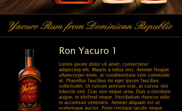 Creacion de newsletter para Ron Yakuro
